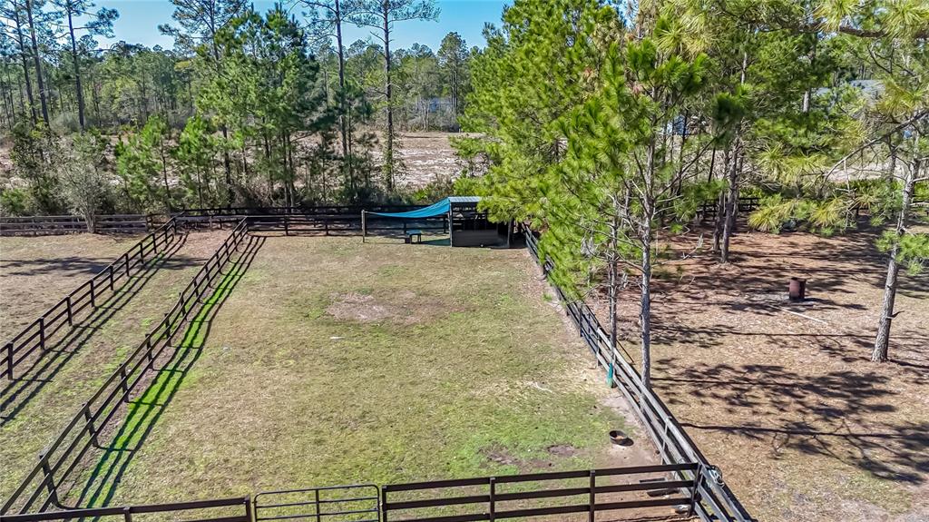 34175 Steeple Chase Way Callahan, FL 32011 - Photo 59 of 66 a view of a yard with large trees