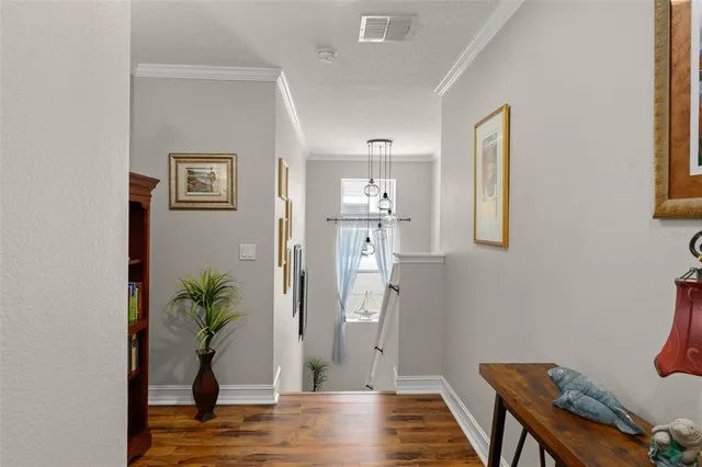 a view of a room with wooden floor and a potted plant