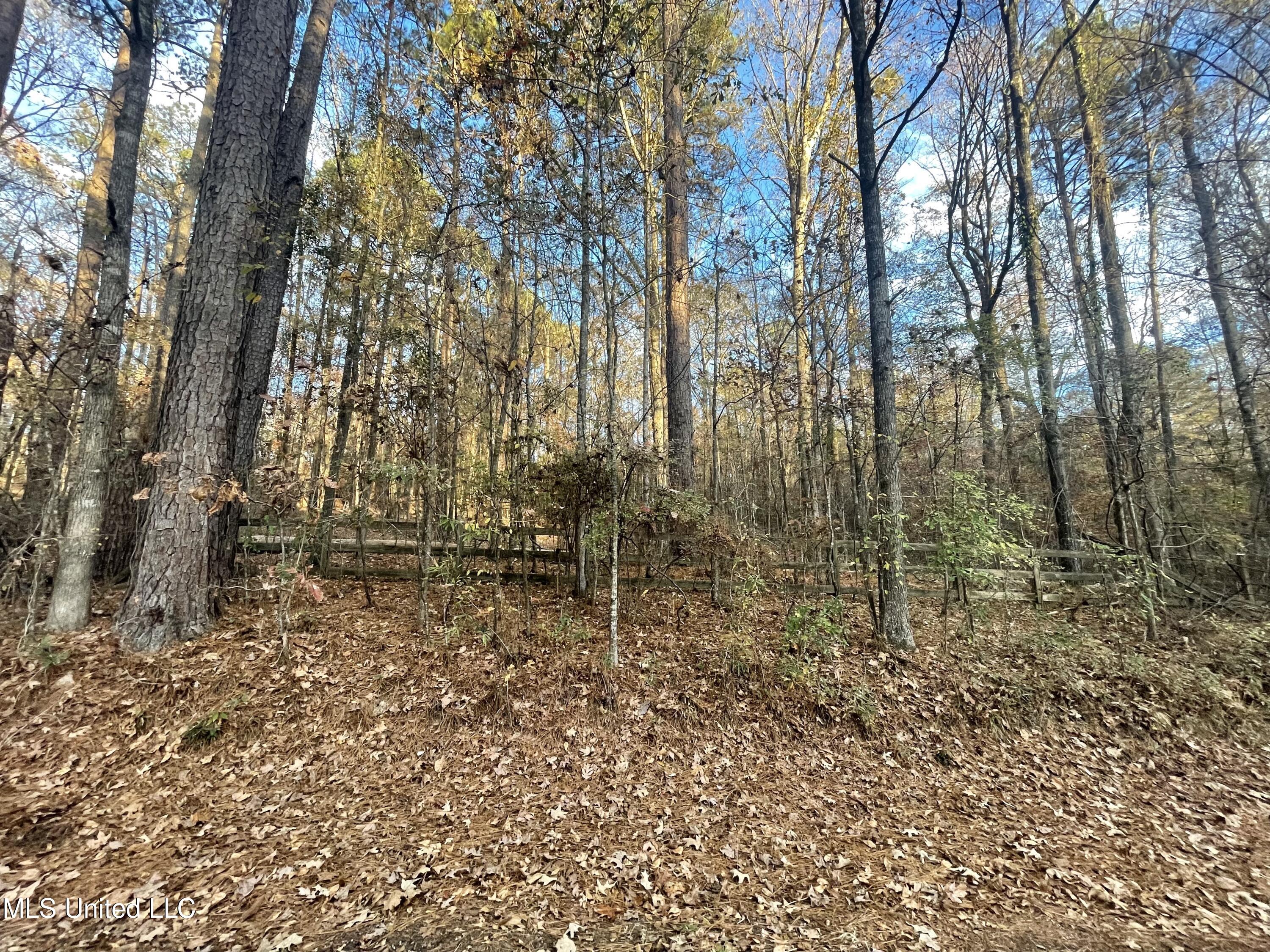0 Devonshire Way Flora, MS 39071 - Photo 1 of 1 Front of Property