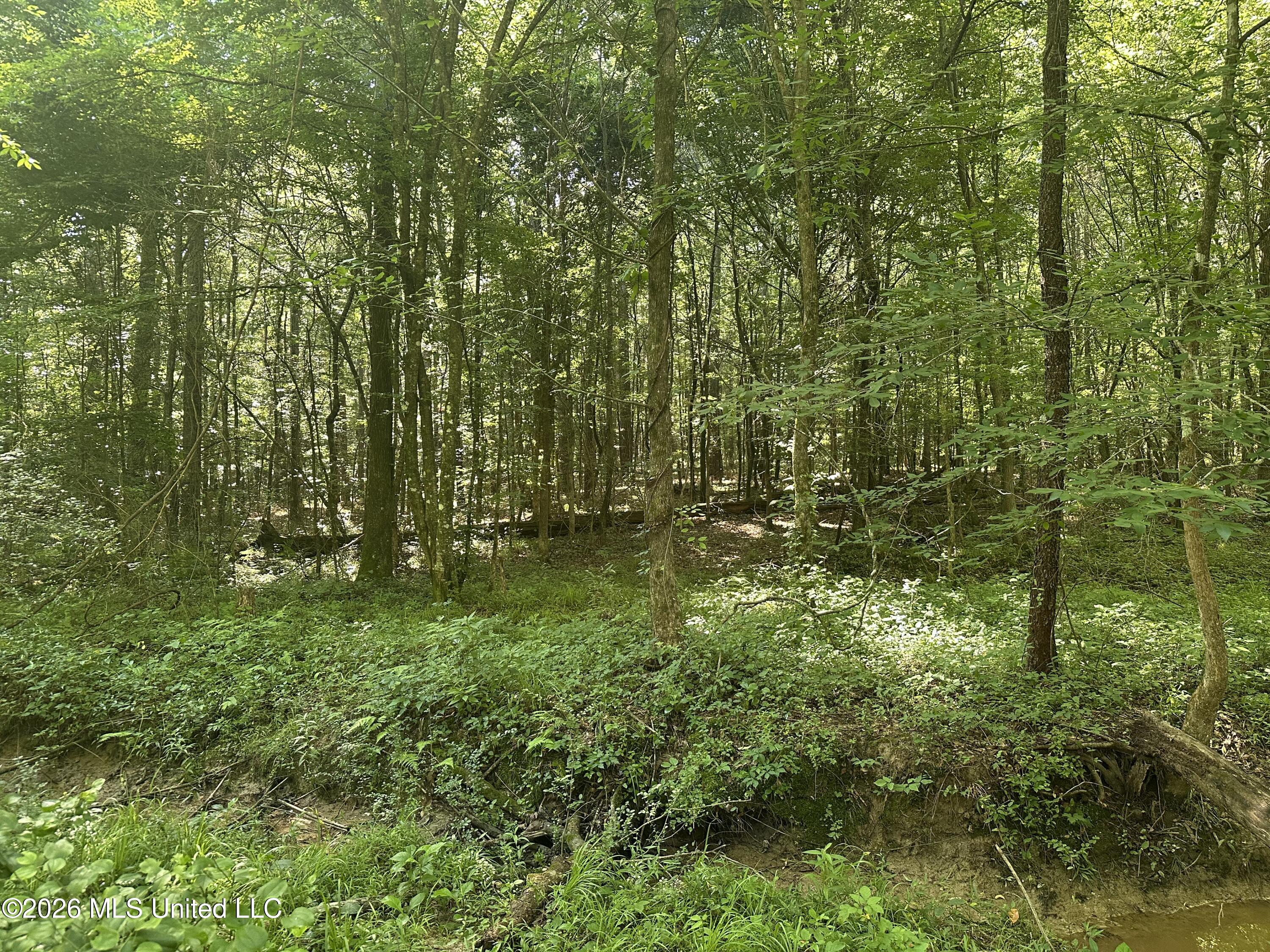 J C Prestage Road Pelahatchie, MS 39145 - Photo 21 of 24 FF64C273-C6B3-481A-8473-D0C65FDCDFAB