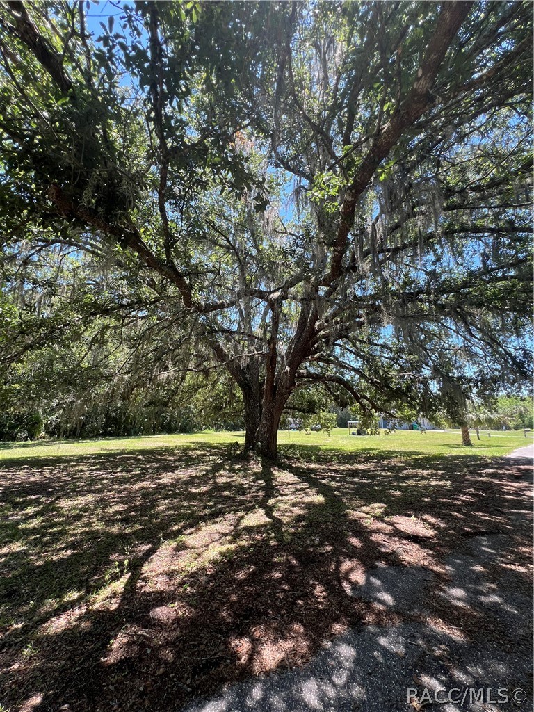 384 North Staff Point Inverness, FL 34450 - Photo 12 of 13