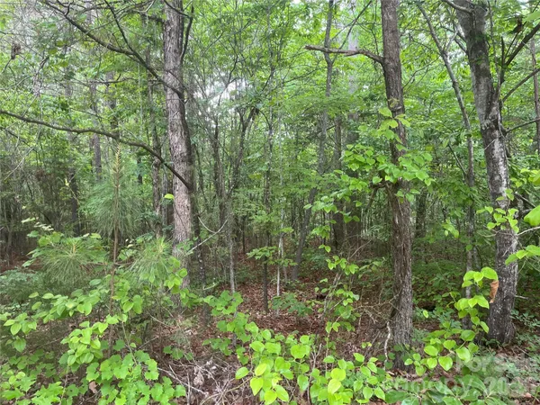 $81,690 | 2426 Ore Bank Road, Smyrna, SC 29743