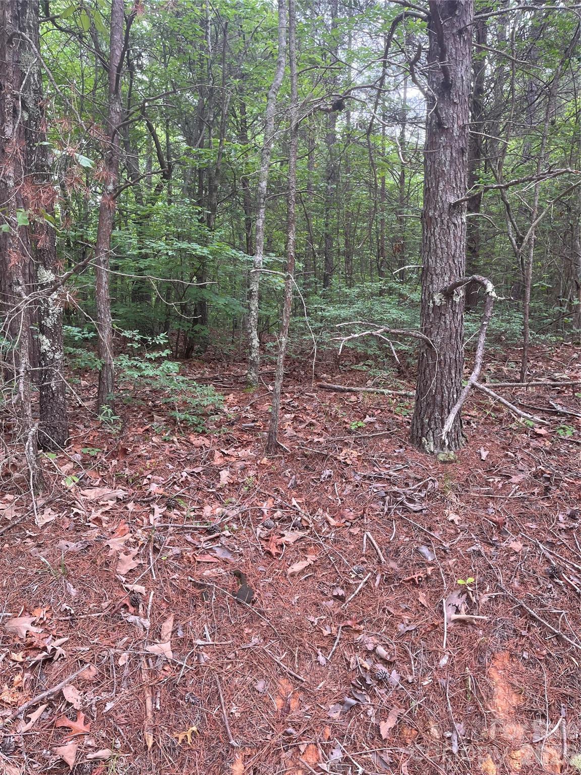 2426 Ore Bank Road Smyrna, SC 29743 - Photo 11 of 17