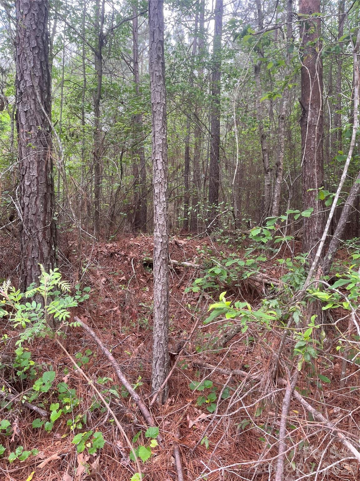 2426 Ore Bank Road Smyrna, SC 29743 - Photo 13 of 17