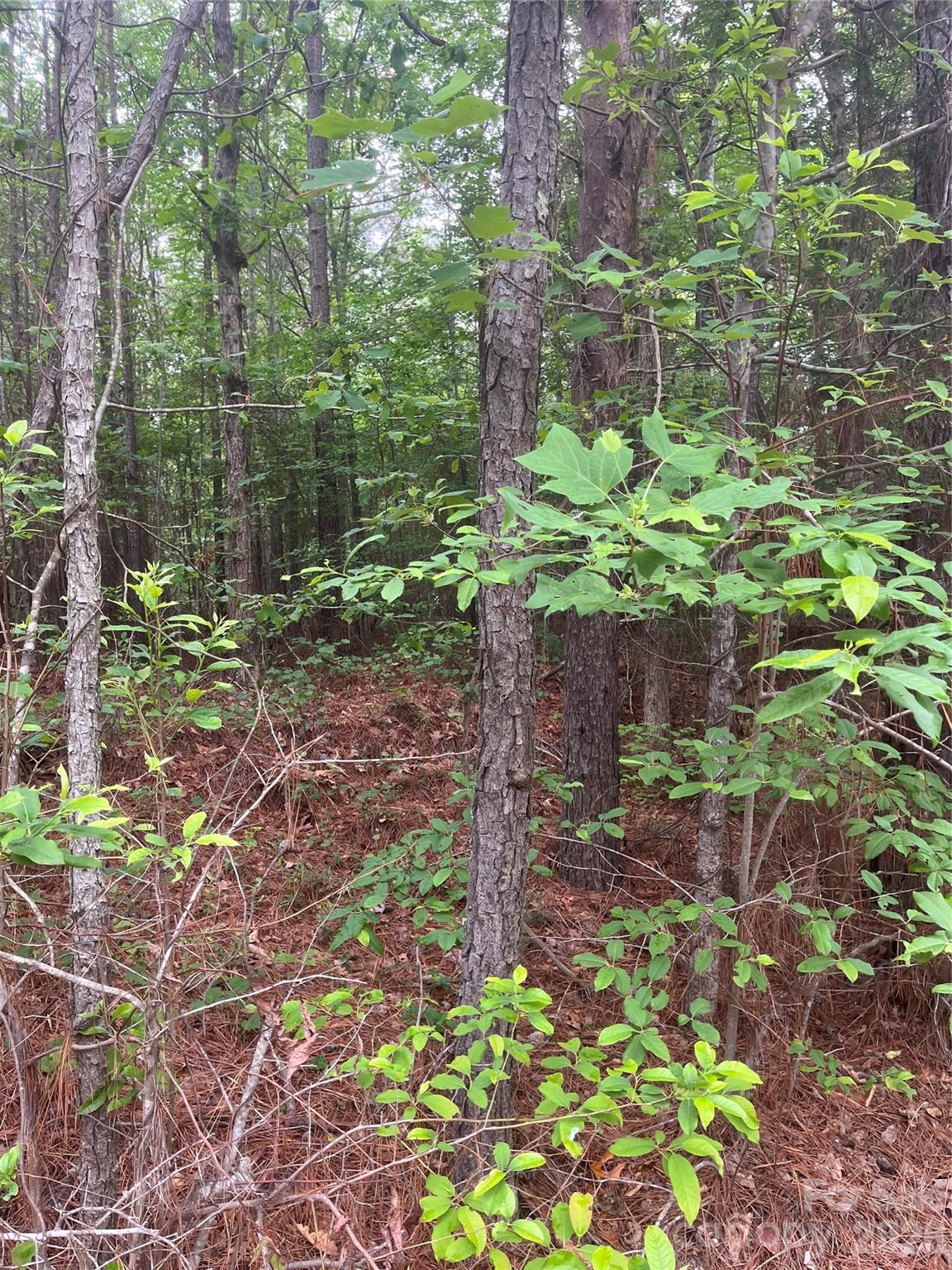 2426 Ore Bank Road Smyrna, SC 29743 - Photo 14 of 17