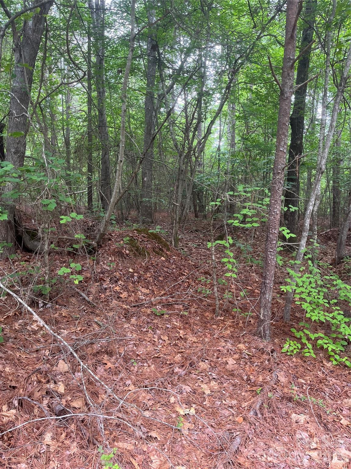 2426 Ore Bank Road Smyrna, SC 29743 - Photo 15 of 17