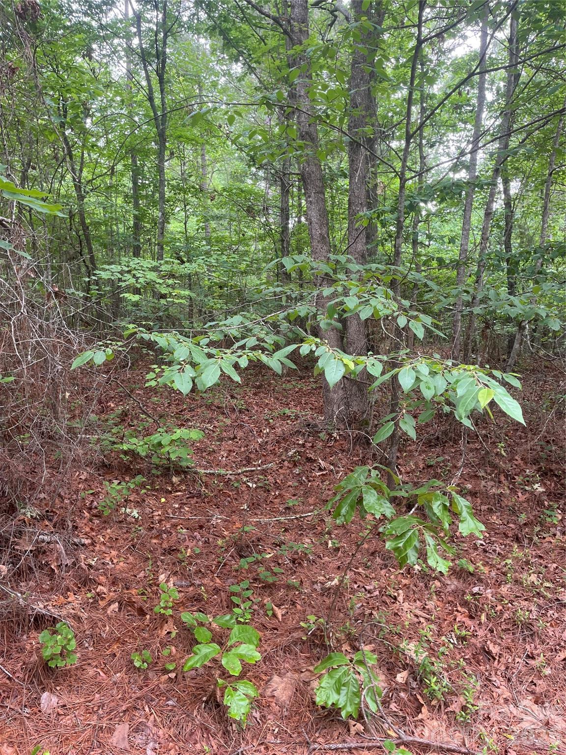 2426 Ore Bank Road Smyrna, SC 29743 - Photo 17 of 17