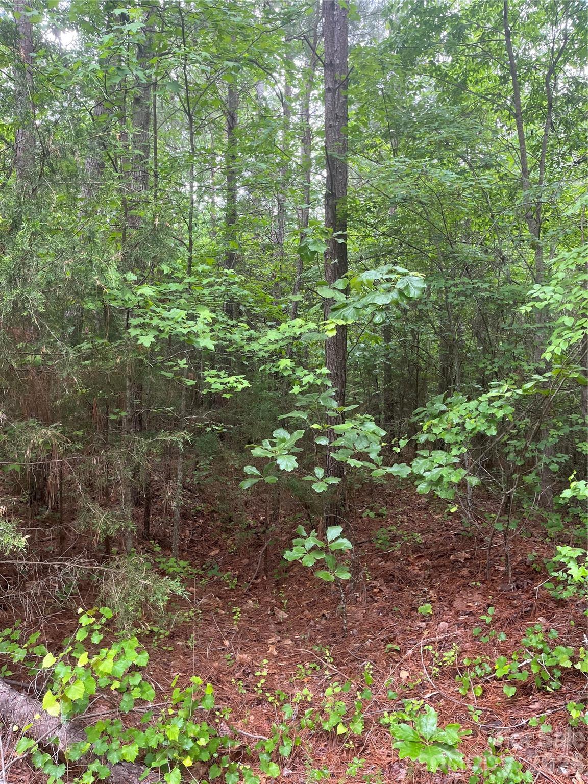 2426 Ore Bank Road Smyrna, SC 29743 - Photo 6 of 17