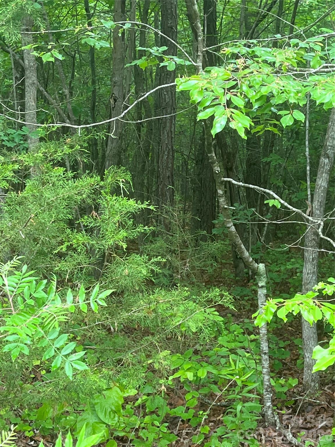 2426 Ore Bank Road Smyrna, SC 29743 - Photo 7 of 17