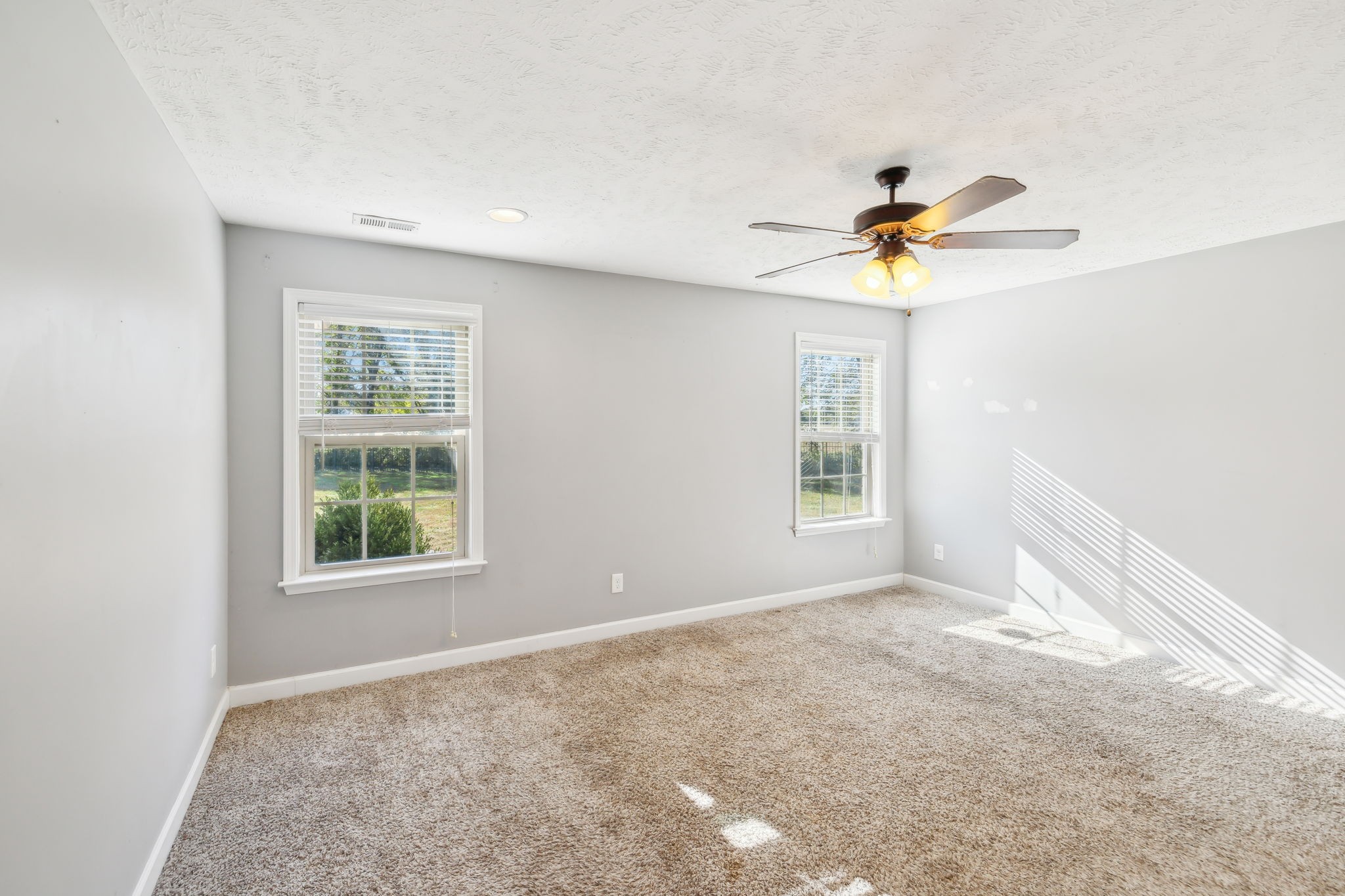 100 Riddick Court Murfreesboro, TN 37127 - Photo 21 of 56 an empty room with windows and chandelier fan