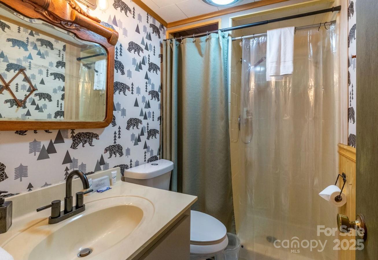 1491 Battle Branch Road Bryson City, NC 28713 - Photo 19 of 34 a bathroom with a sink toilet and shower