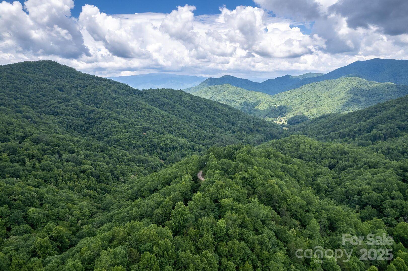 1491 Battle Branch Road Bryson City, NC 28713 - Photo 25 of 34 a view of a city with lush green forest
