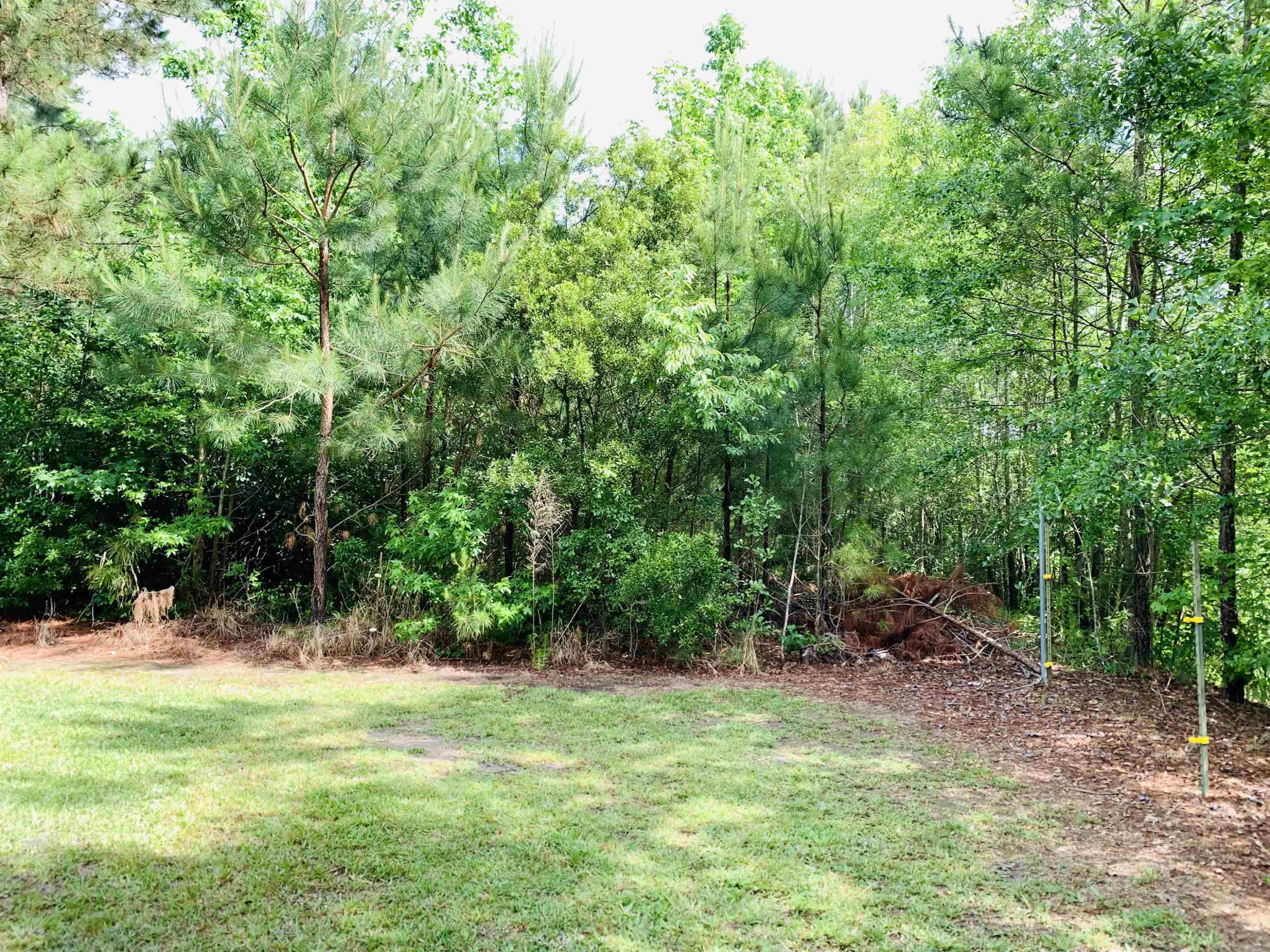313 Gor An Farm Road Selma, NC 27576 - Photo 45 of 46 Photo 45