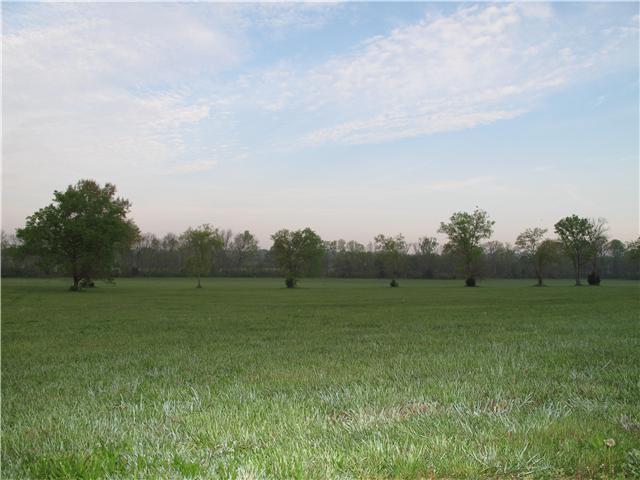 4334 North Chapel Road Franklin, TN 37067 - Photo 2 of 3
