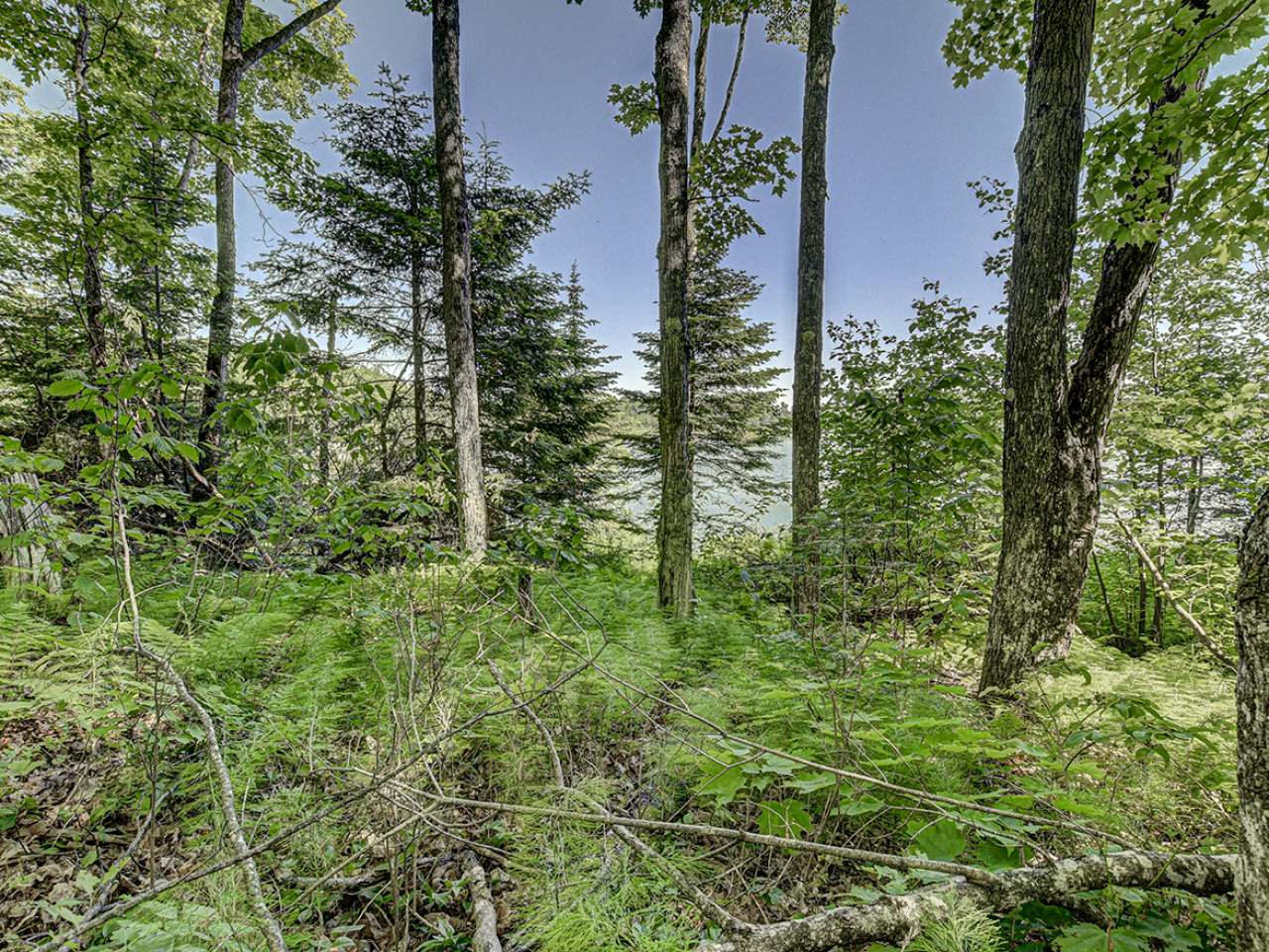 On Powderhorn Road, Unit 69 Presque Isle, WI 54557 - Photo 13 of 14 Gallery Image 13