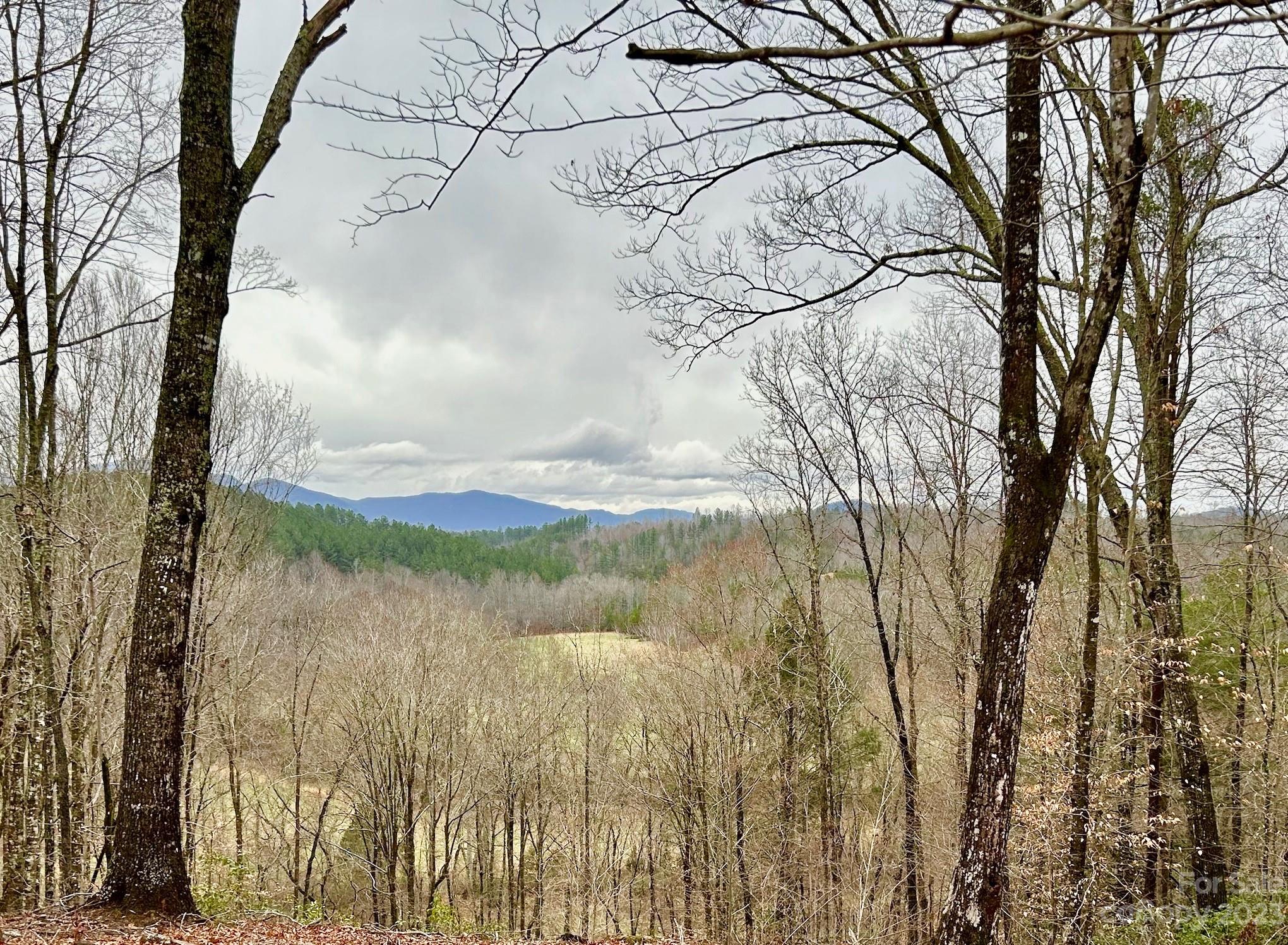 Lot 6 South Cross Creek Trail Ml Spg  