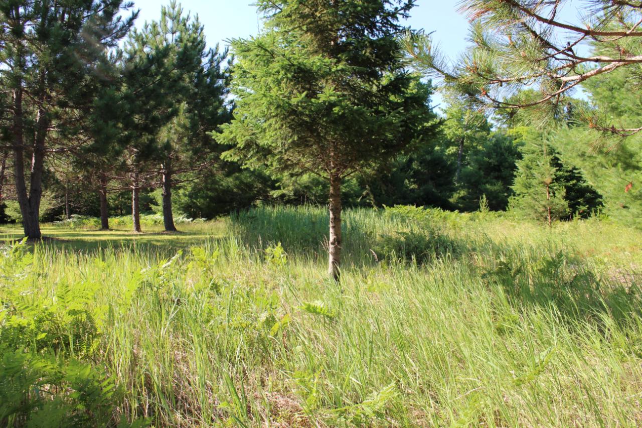 1740 Sugar Bush Road Watersmeet, MI 49969 - Photo 15 of 22 Gallery Image 15