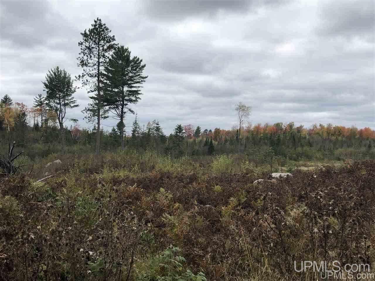 Tbd Off Woods Road Negaunee, MI 49849 - Photo 8 of 15