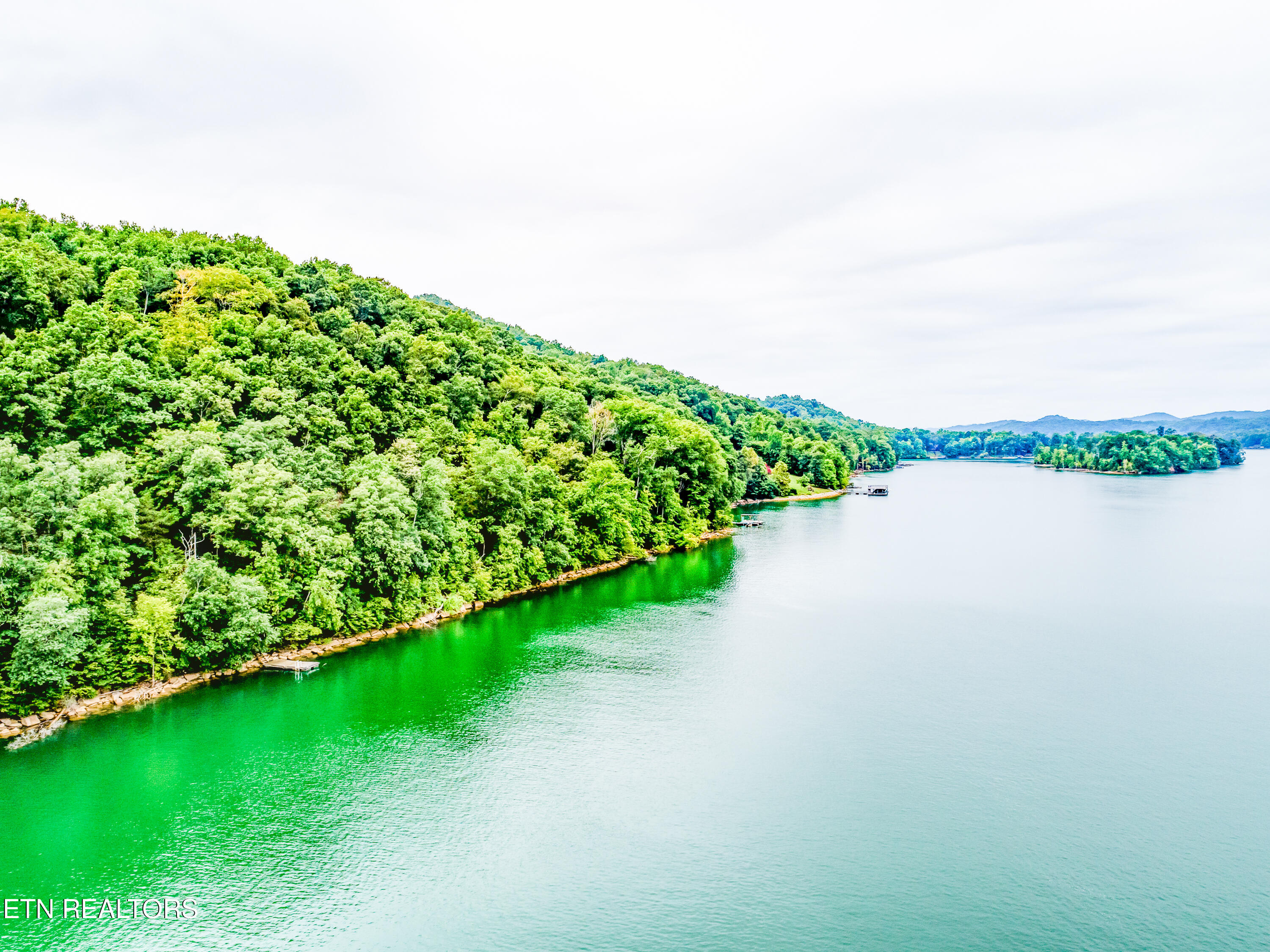 Lot 17 Tumbling Run Road Maynardville, TN 37807 - Photo 8 of 10 Lot 17 Tumbling run