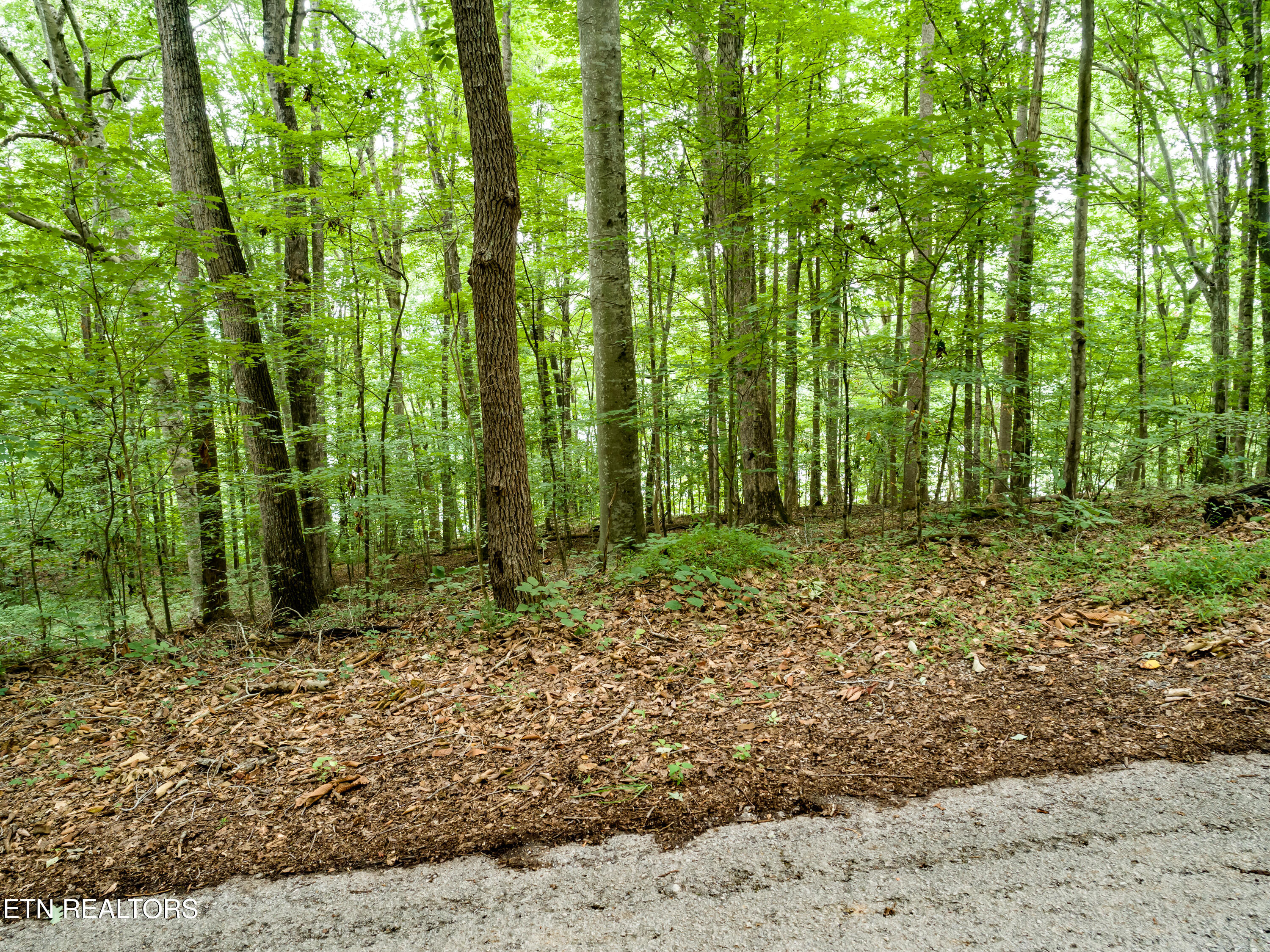 Lot 17 Tumbling Run Road Maynardville, TN 37807 - Photo 9 of 10 Lot 17