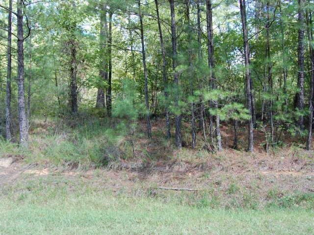 2151 Armour Bridge Road Greensboro, GA 30642 - Photo 1 of 1 Gallery Image 1