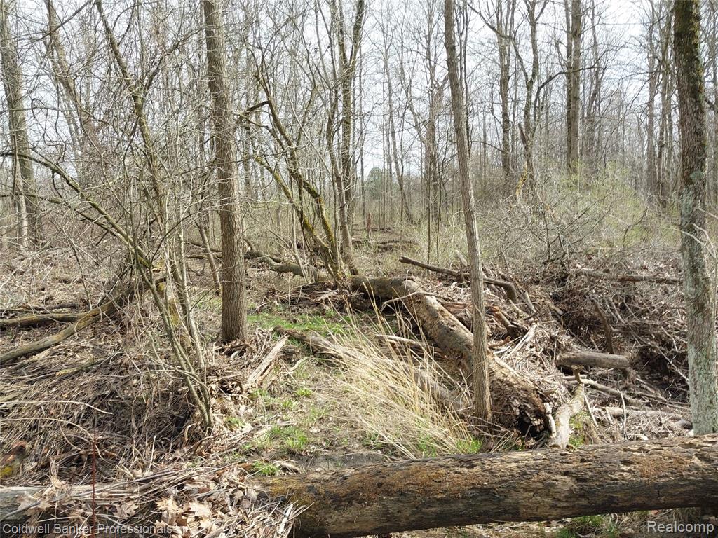 Vl Rattle Run Road St. Clair, MI 48079 - Photo 19 of 45 Gallery Image 19