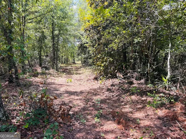 a view of a yard with plants and trees