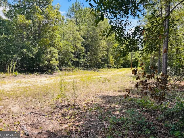 a view of a swimming pool with a yard
