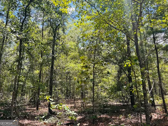 a view of outdoor space with trees