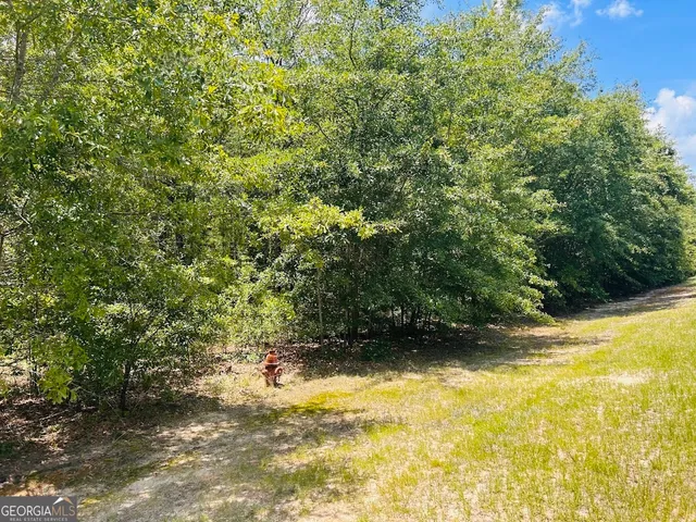 $202,500 | 0 Moores Chapel Road, Unit 1, Mauk, GA 31058