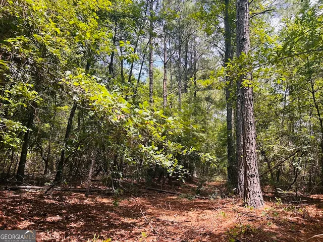 a backyard of a house with lots of trees