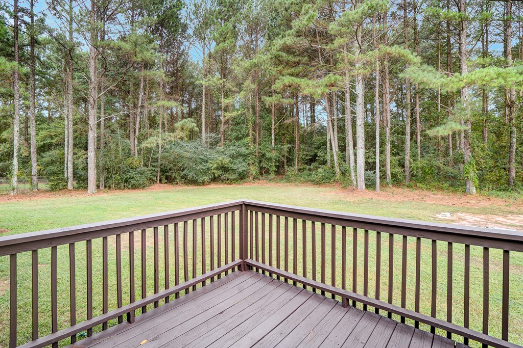 204 Briar Ridge Road Northwest Calhoun, GA 30701 - Photo 33 of 39 Gallery Image 33