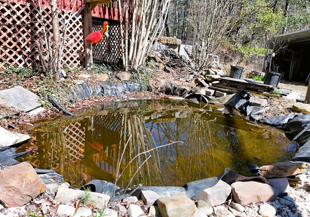 302 Rivercane Road Brasstown, NC 28902 - Photo 13 of 34