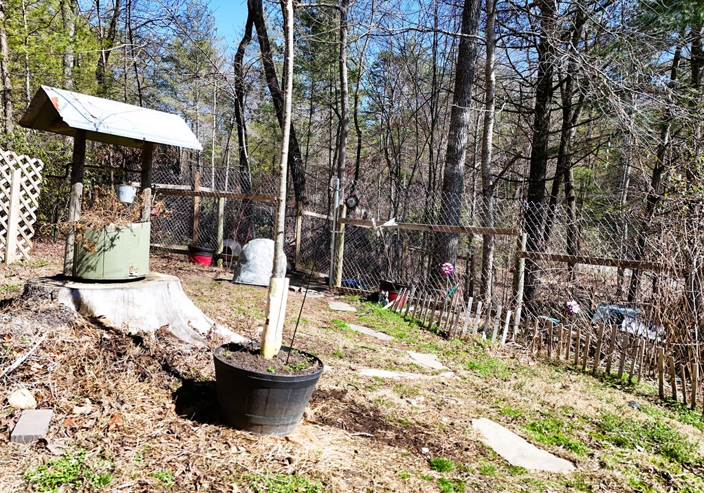 302 Rivercane Road Brasstown, NC 28902 - Photo 17 of 34