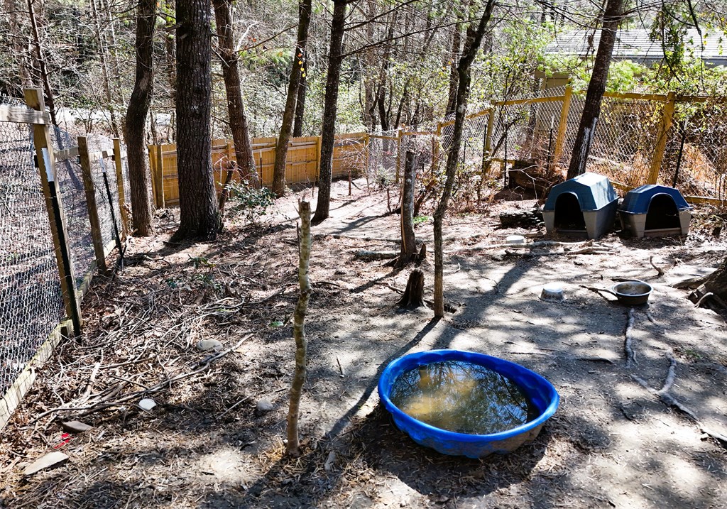 302 Rivercane Road Brasstown, NC 28902 - Photo 18 of 34