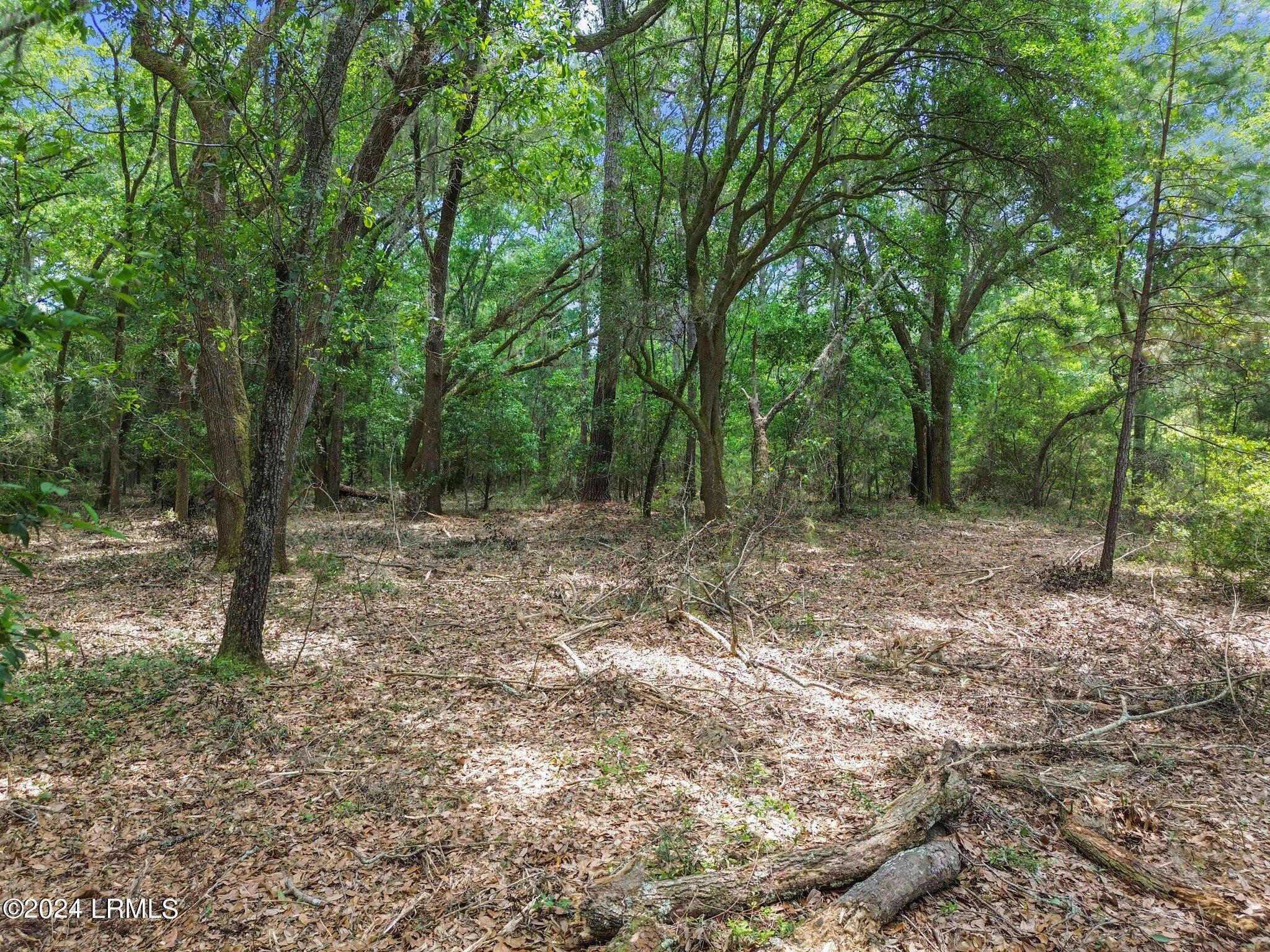 Tbd Tombee Road St. Helena Island, SC 29920 - Photo 10 of 12 large-018f1bee-4626-71b2-886b-53df4a9067