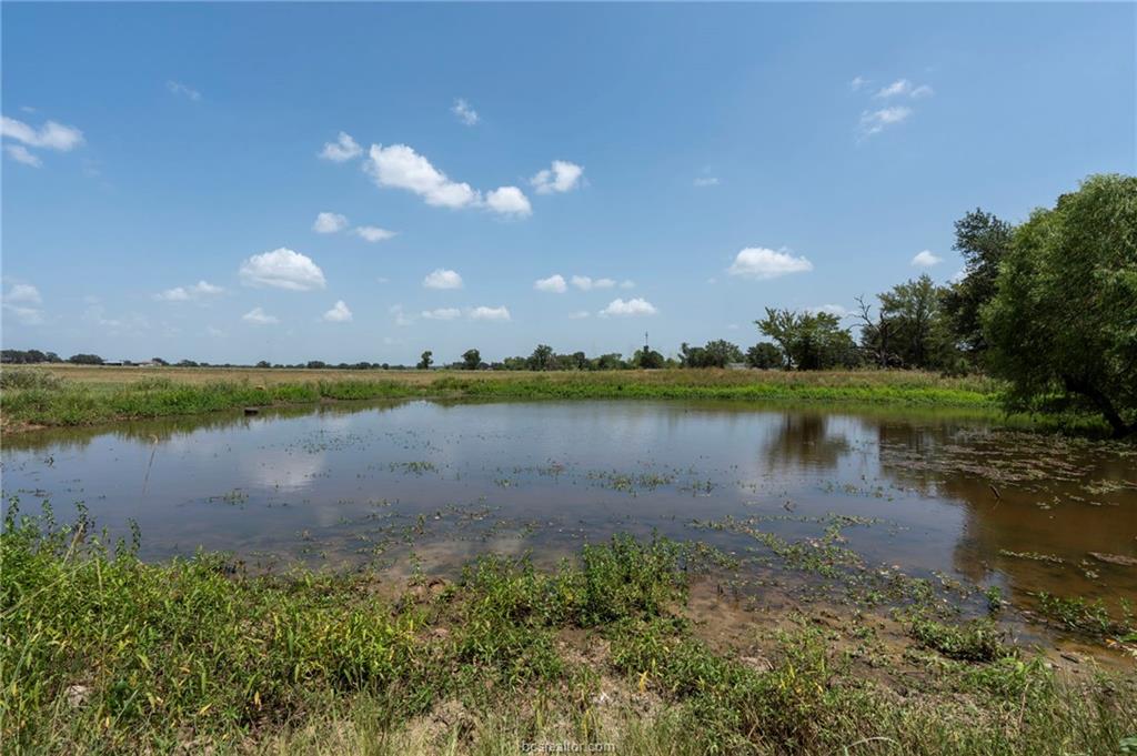 Tbd Templeton Road Hearne, TX 77859 - Photo 17 of 19 Gallery Image 17