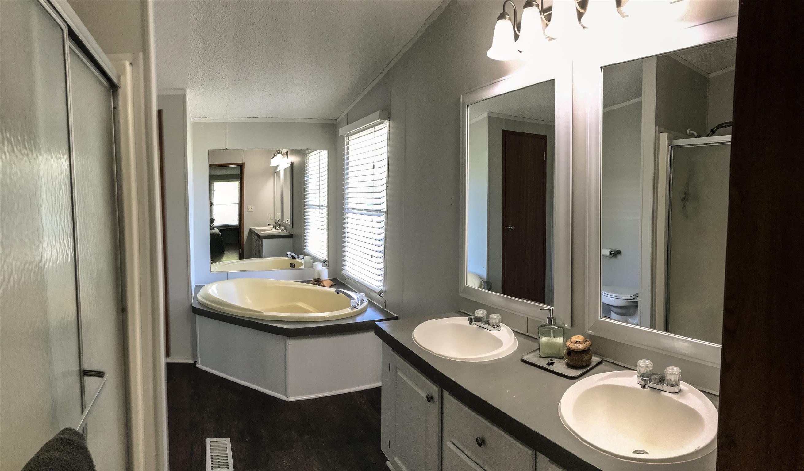 6740 Leipers Creek Road Columbia, TN 38401 - Photo 17 of 26 master bath with tub