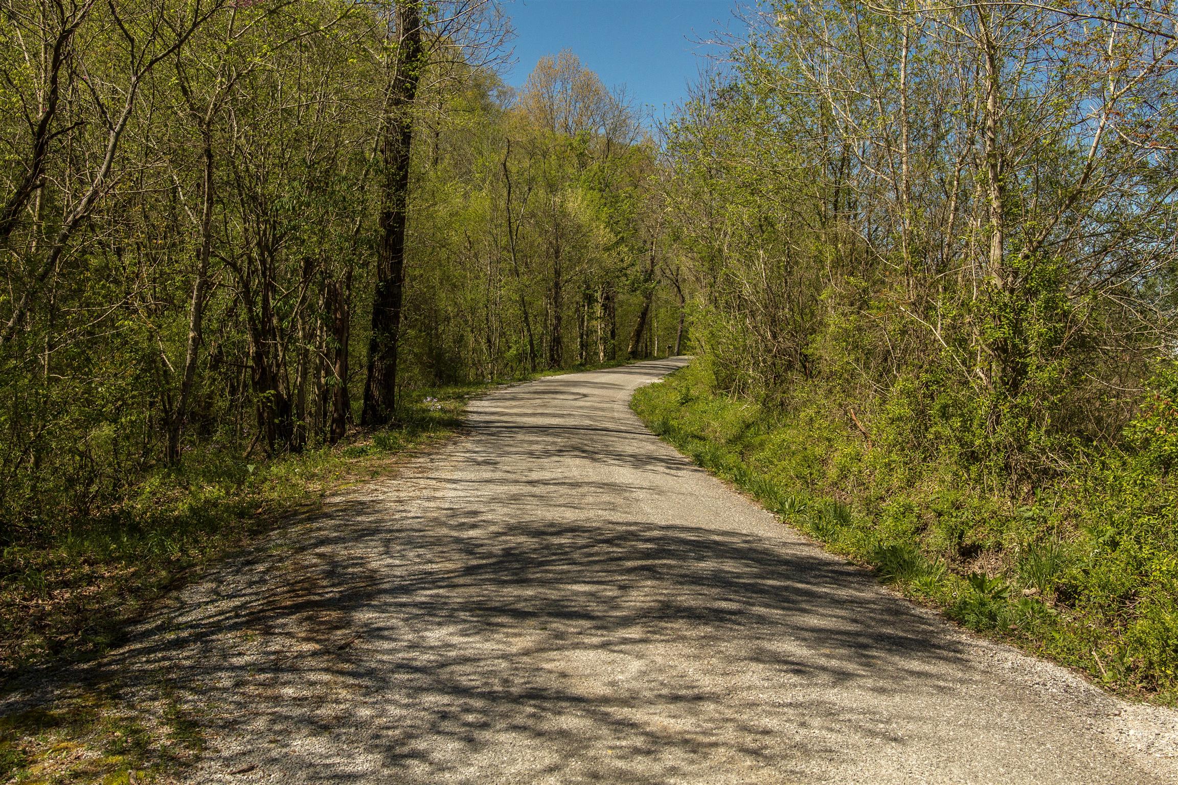 6740 Leipers Creek Road Columbia, TN 38401 - Photo 25 of 26 old leipers creek road run along back entrance to property