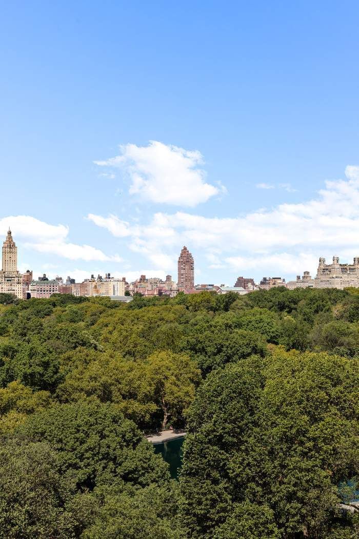 920 5th Avenue, Unit 10B Manhattan, NY 10021 - Photo 8 of 23 a view of a city