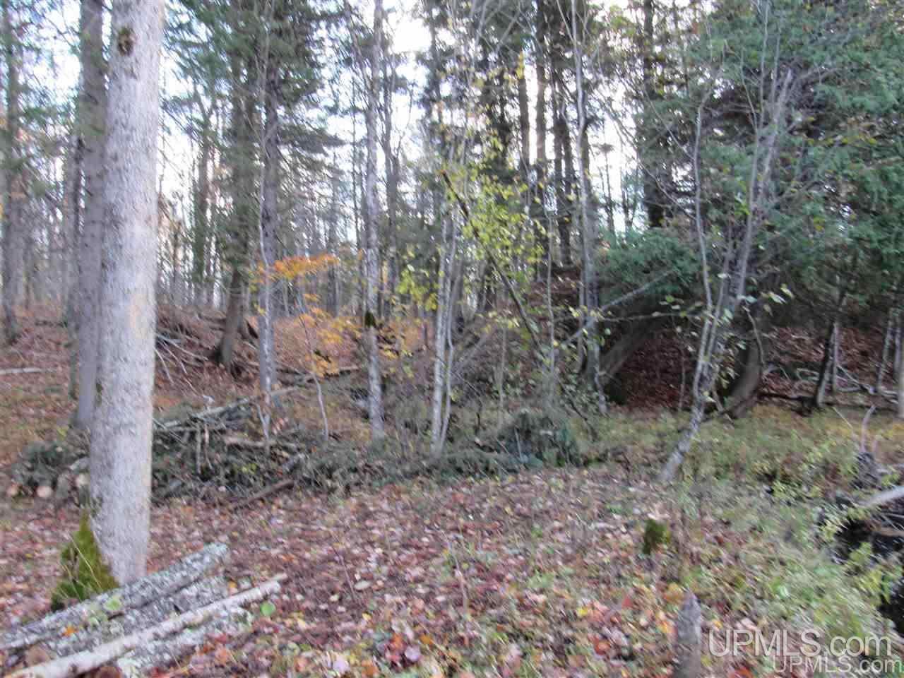 Lot 1 Sicotte Road Skanee, MI 49962 - Photo 23 of 23