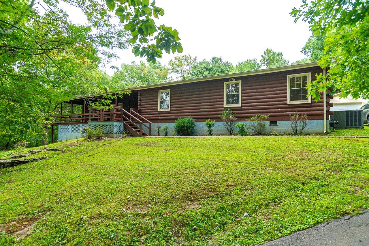 a view of a backyard with plants and large tree