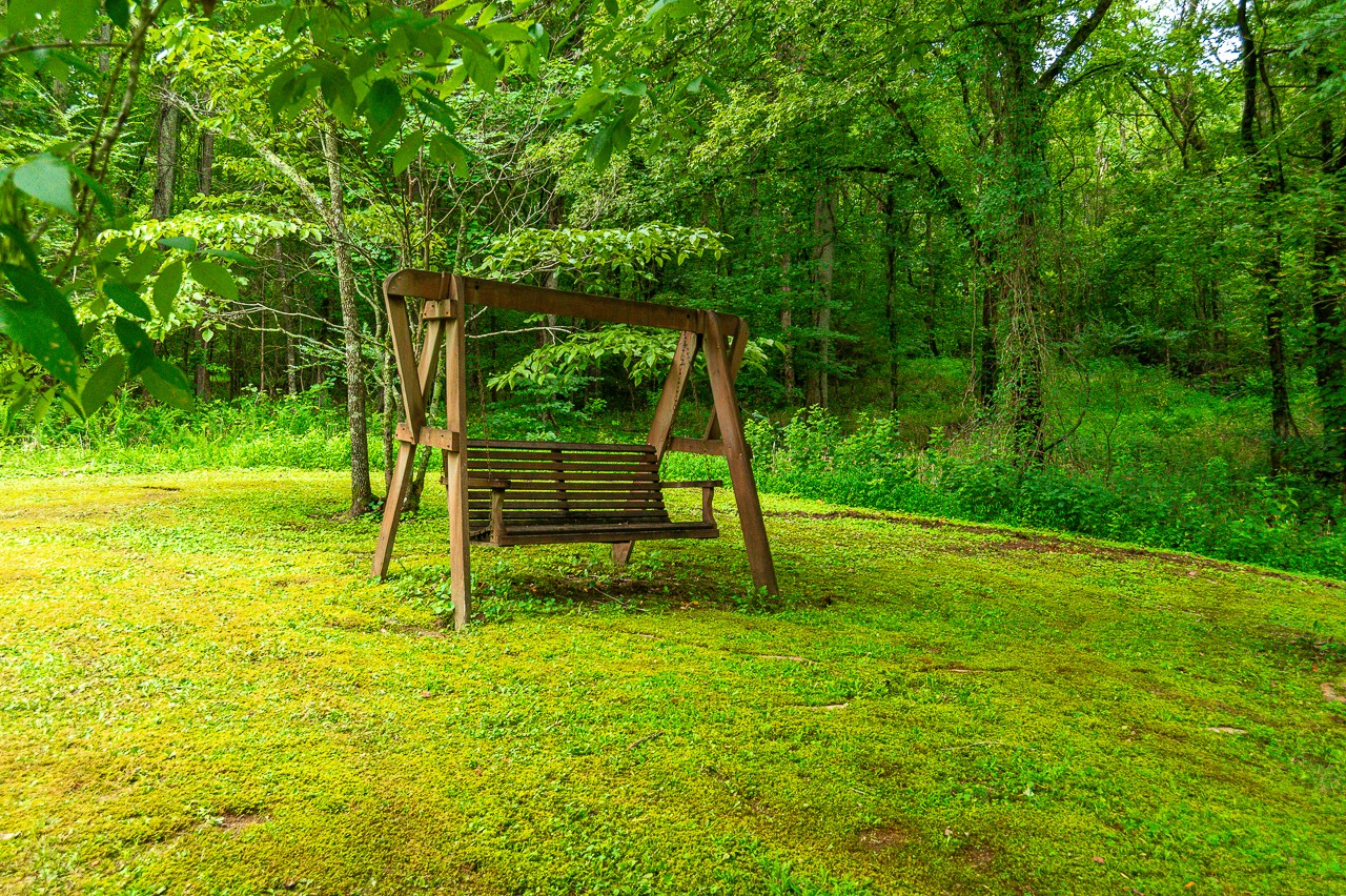 855 Hickory Drive Pulaski, TN 38478 - Photo 31 of 57 a view of a backyard with a tree