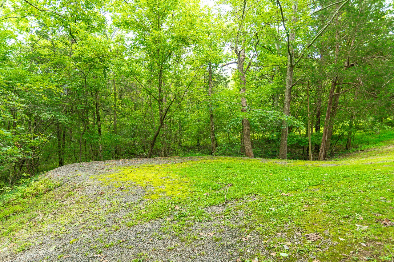 855 Hickory Drive Pulaski, TN 38478 - Photo 34 of 57 a view of a field with trees in the background