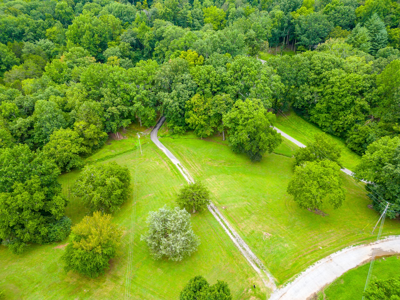 855 Hickory Drive Pulaski, TN 38478 - Photo 41 of 57 a view of a yard with a swimming pool