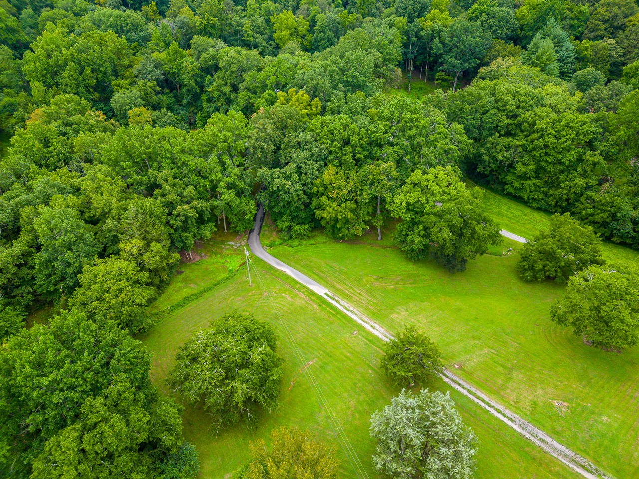855 Hickory Drive Pulaski, TN 38478 - Photo 42 of 57 a view of a tennis court