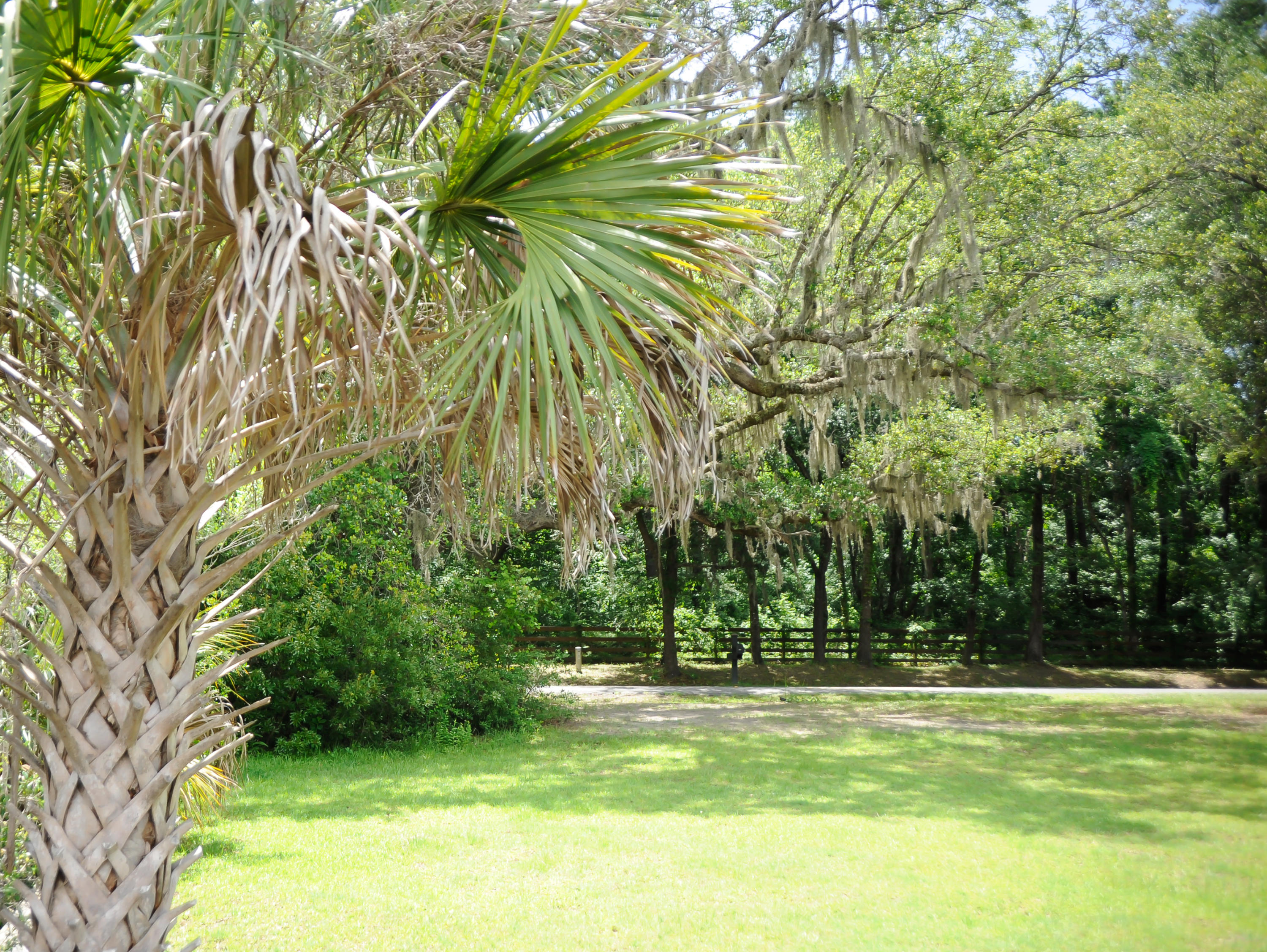 1408 Chandler Road, Unit LOT 2 Awendaw, SC 29429 - Photo 34 of 42 1408 Chandler Road