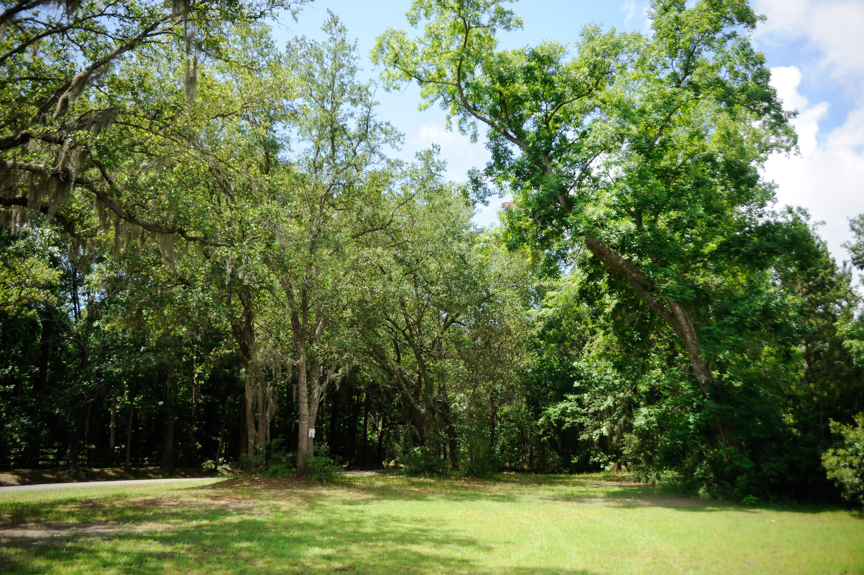 1408 Chandler Road, Unit LOT 2 Awendaw, SC 29429 - Photo 35 of 42 1408 Chandler Rd