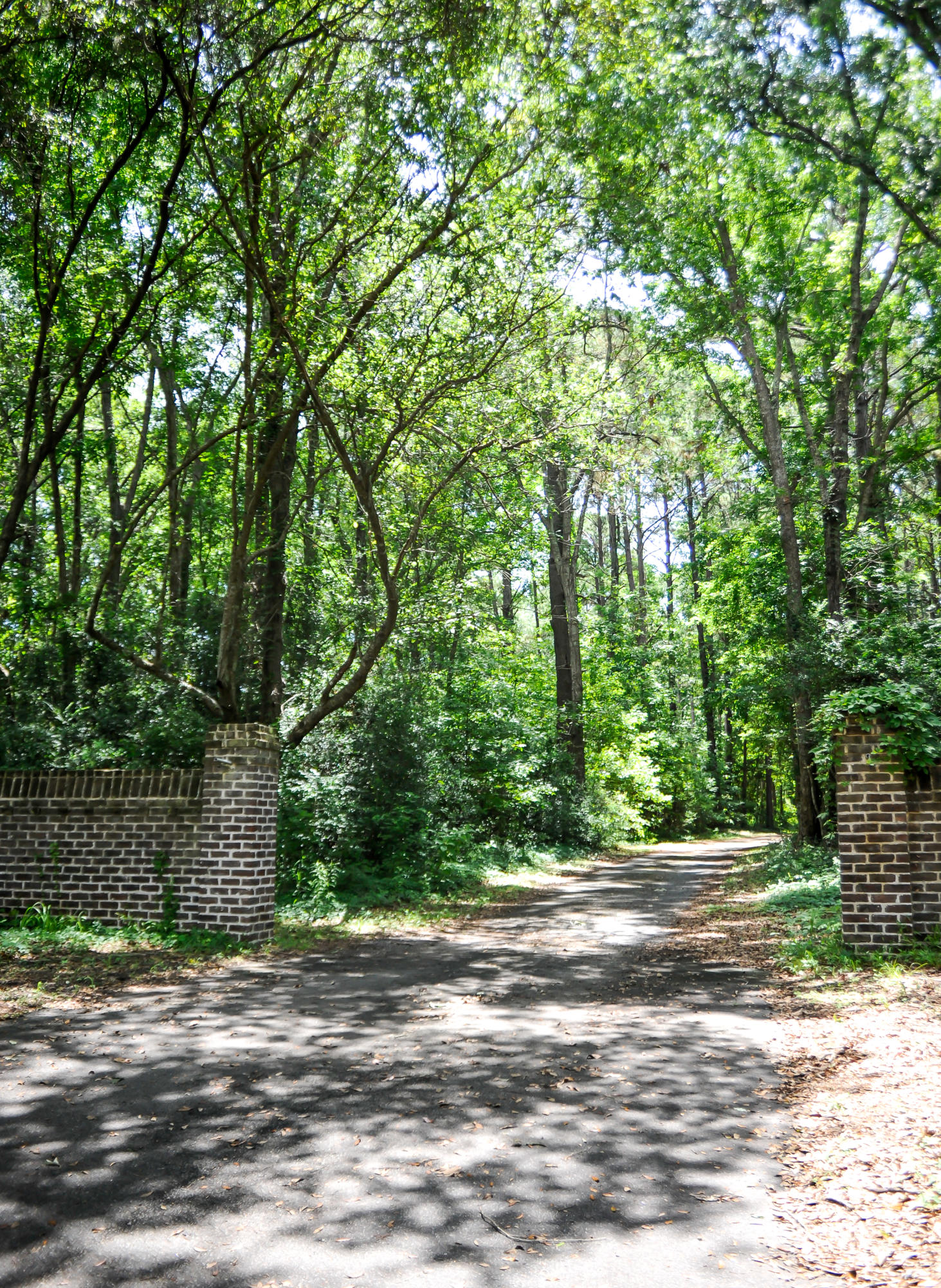 1408 Chandler Road, Unit LOT 2 Awendaw, SC 29429 - Photo 38 of 42 1408 Chandler Road