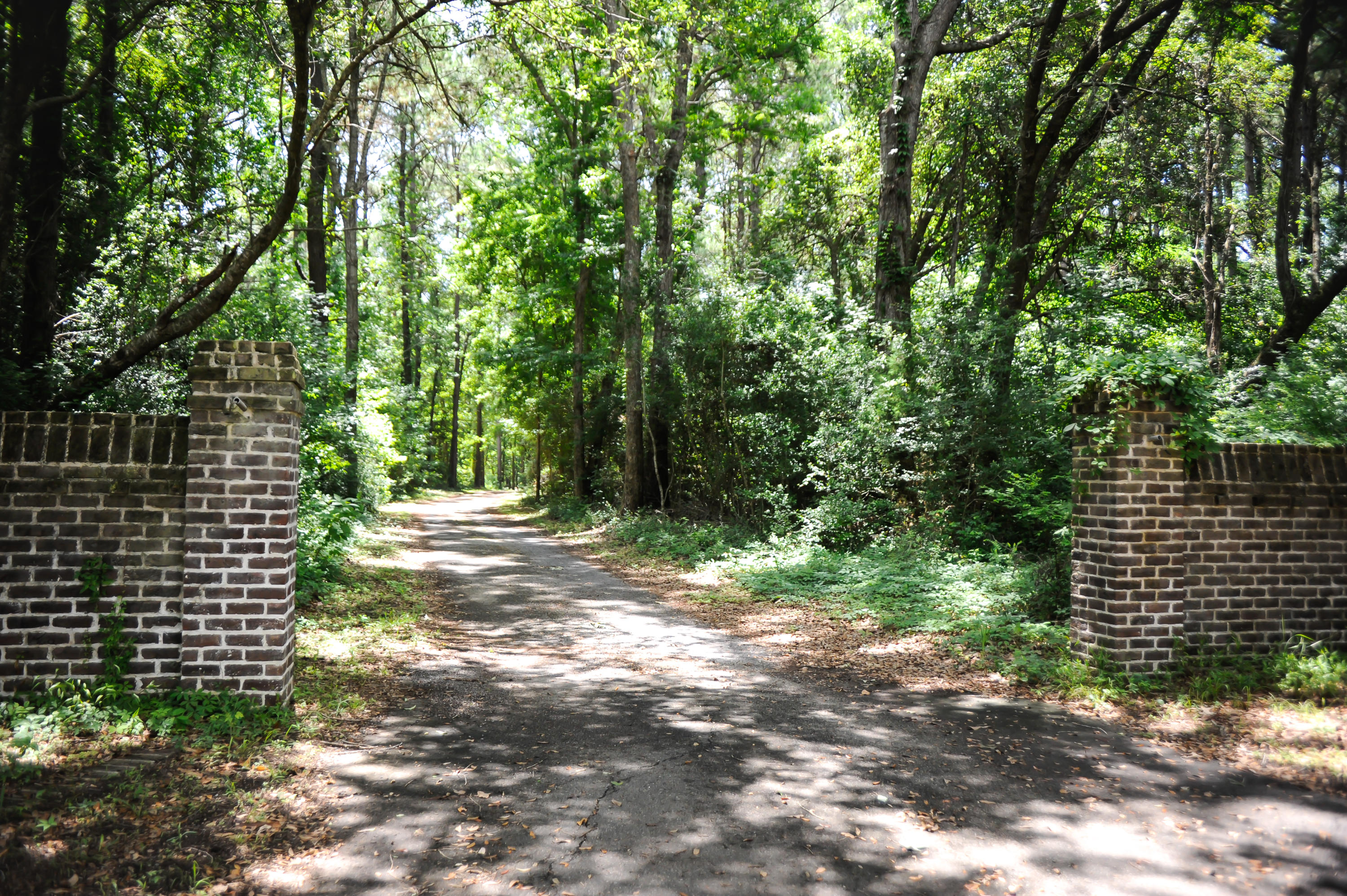1408 Chandler Road, Unit LOT 2 Awendaw, SC 29429 - Photo 40 of 42 1408 Chandler Road